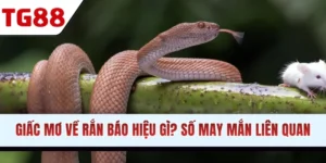 Giấc mơ về rắn