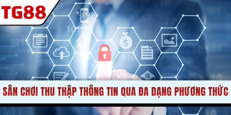 Sân chơi thu thập thông tin qua nhiều cách